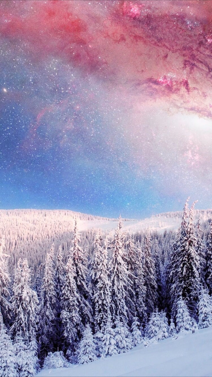 winter **