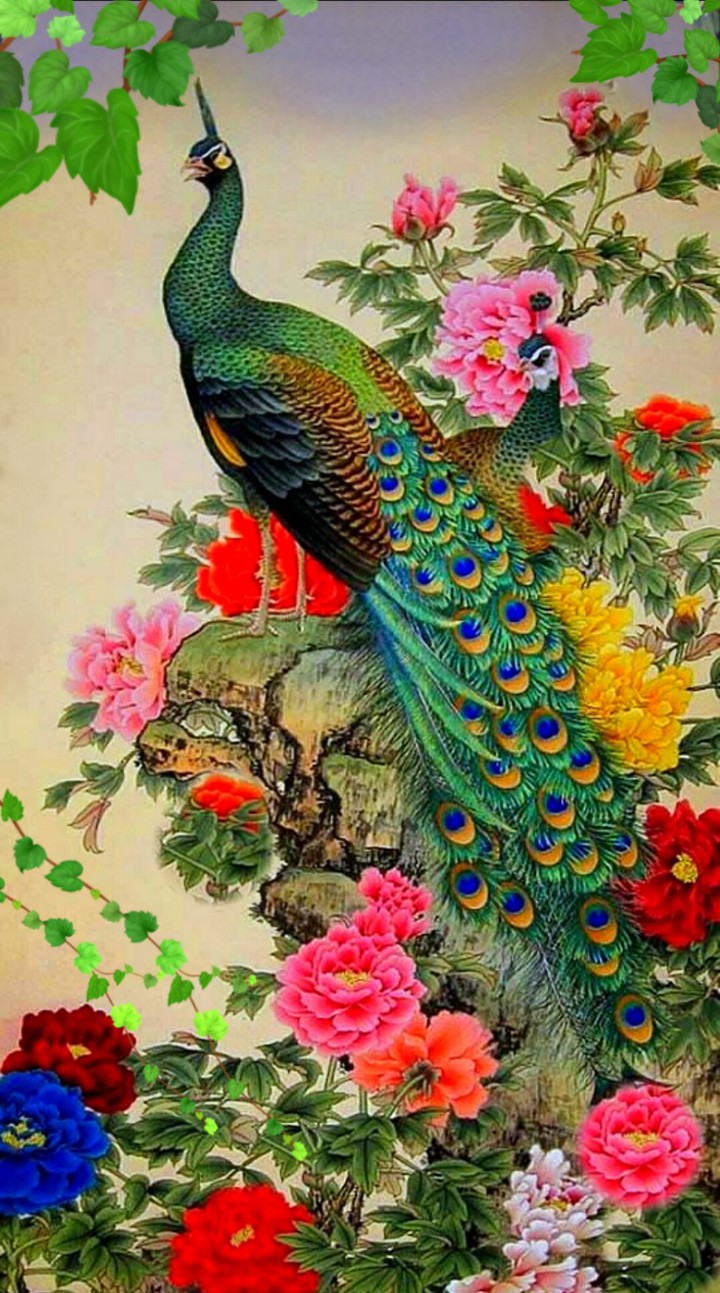 Райские птицы