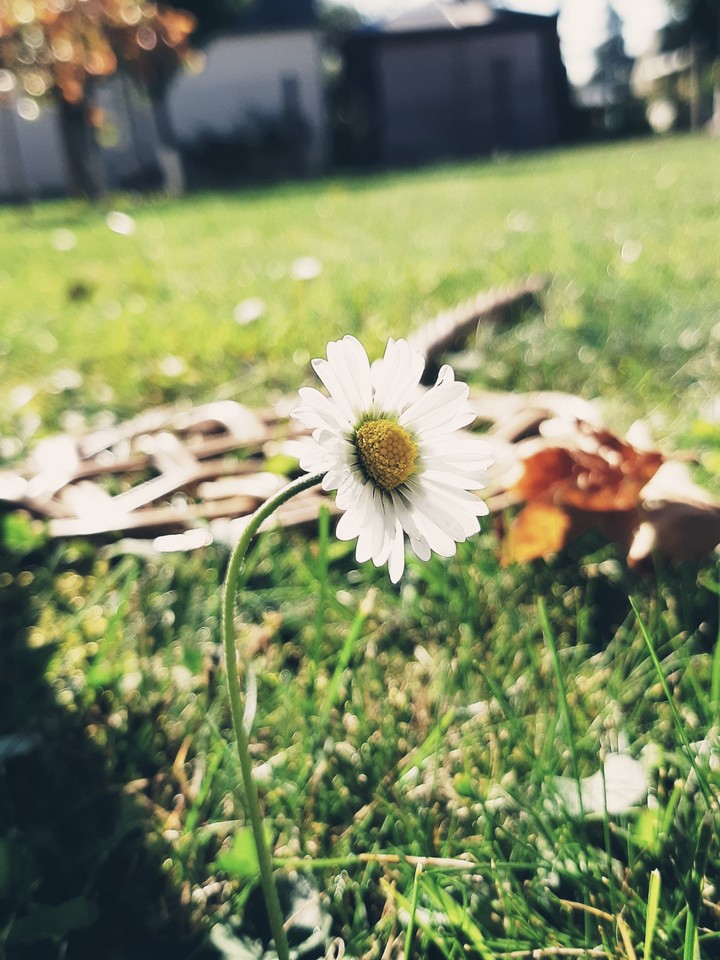 ☺❤☺
