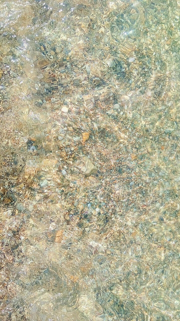 seashore