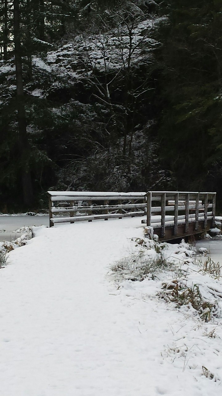 Bridge to Nowhere