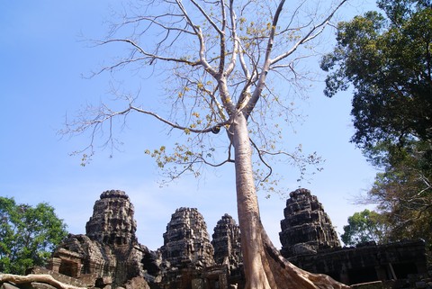 Travel