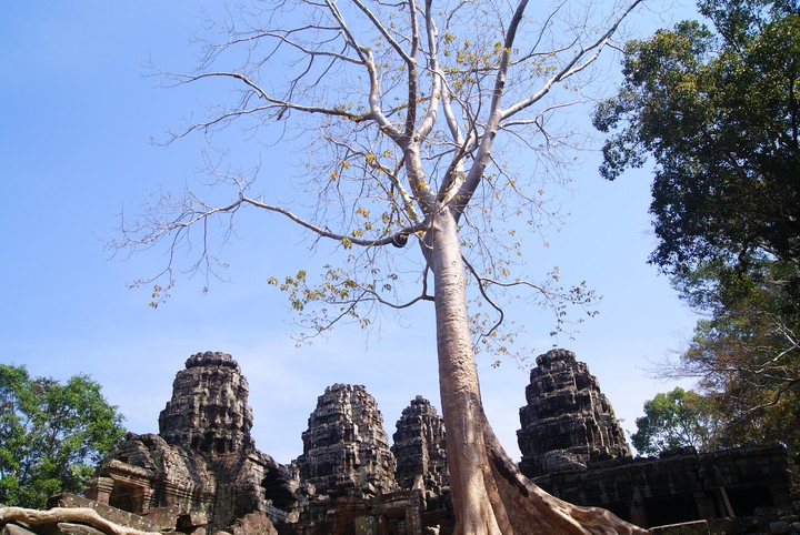 Travel
