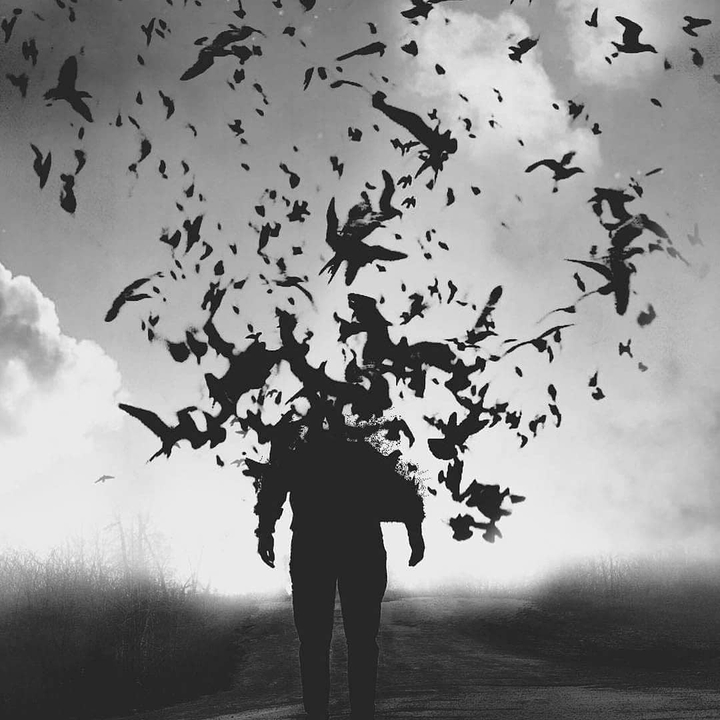 disperse