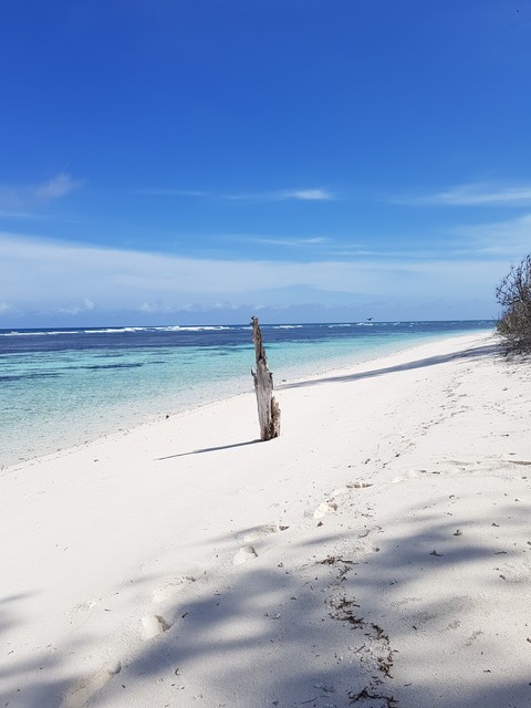 birds island, Seychelles