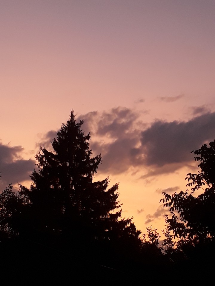 Evening