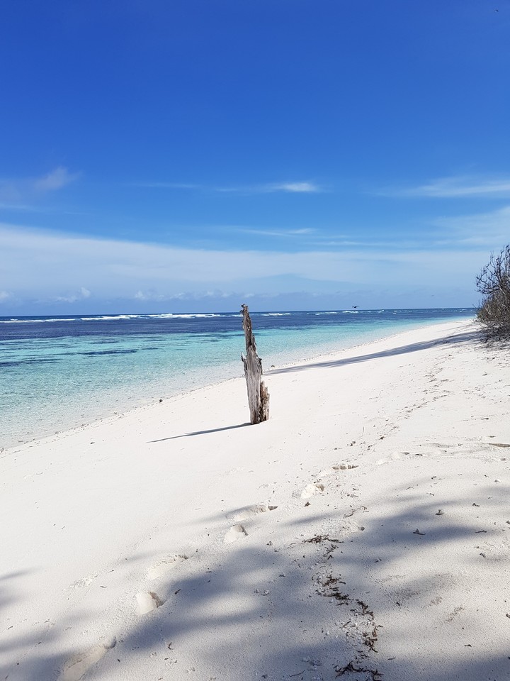 birds island, Seychelles
