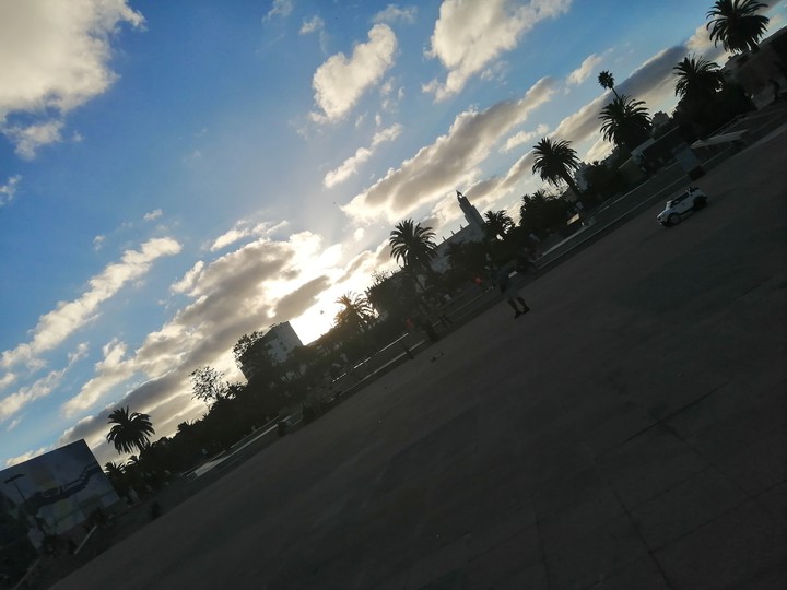 nature