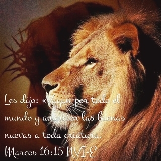 Palabra de Dios
