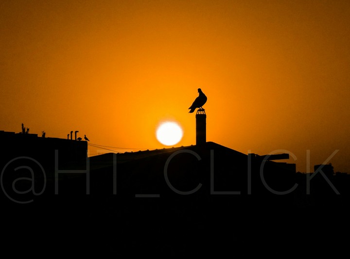 Sunrise from the terrace?!