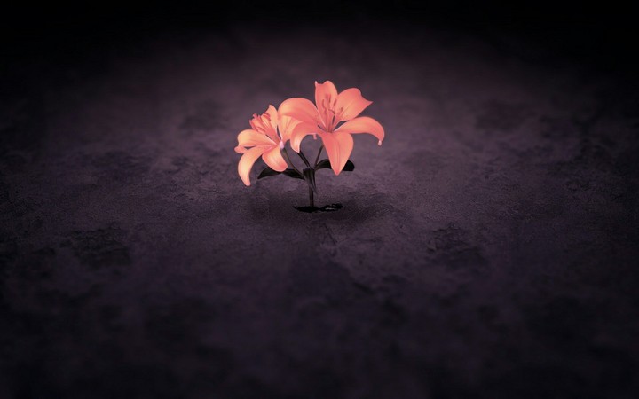 3d wallpaper !