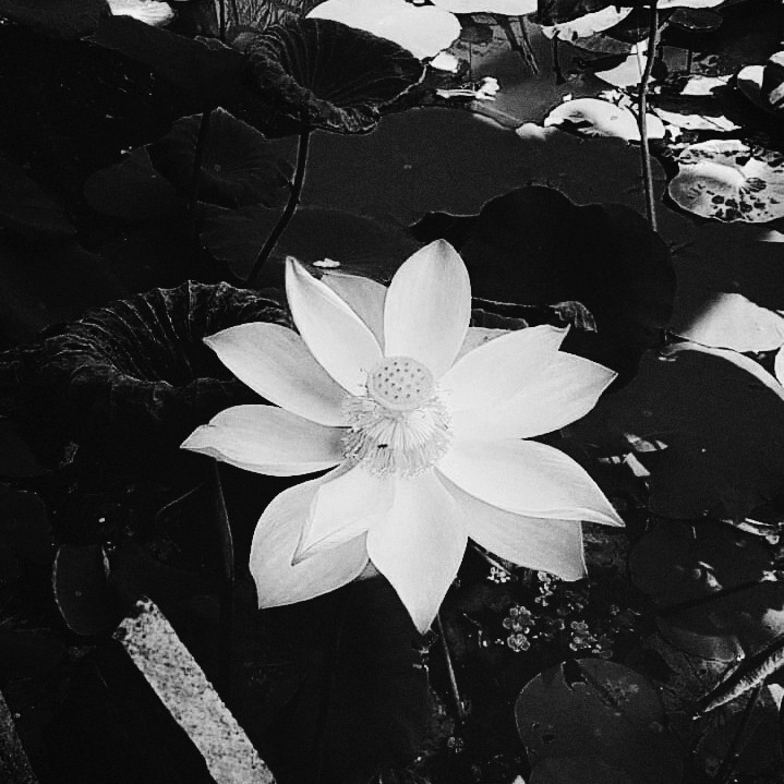 nhớ