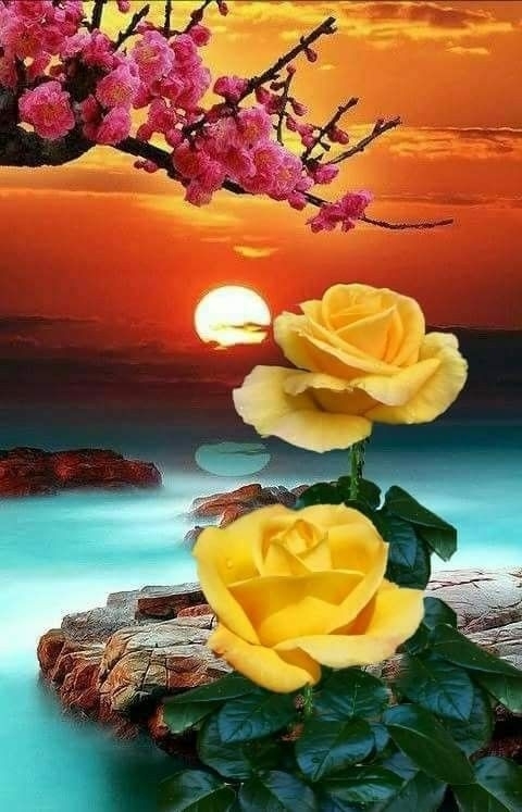 Atardecer