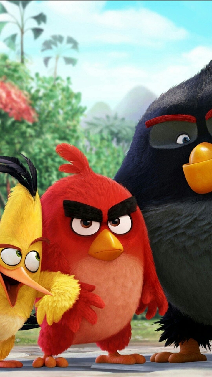 angry Bird