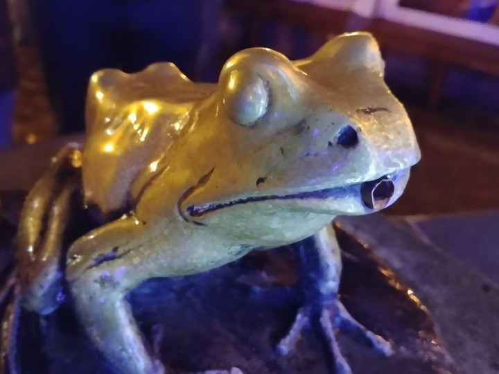 Frog