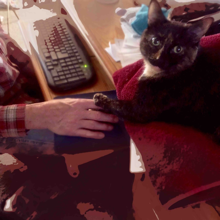 very paws on here