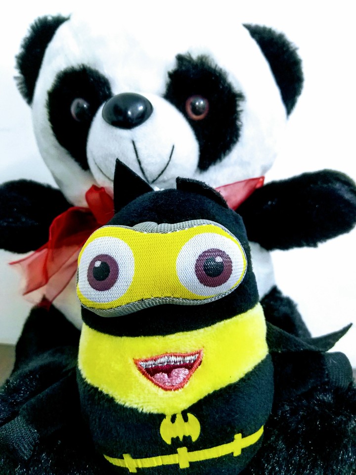 teddy enjoy with frnd