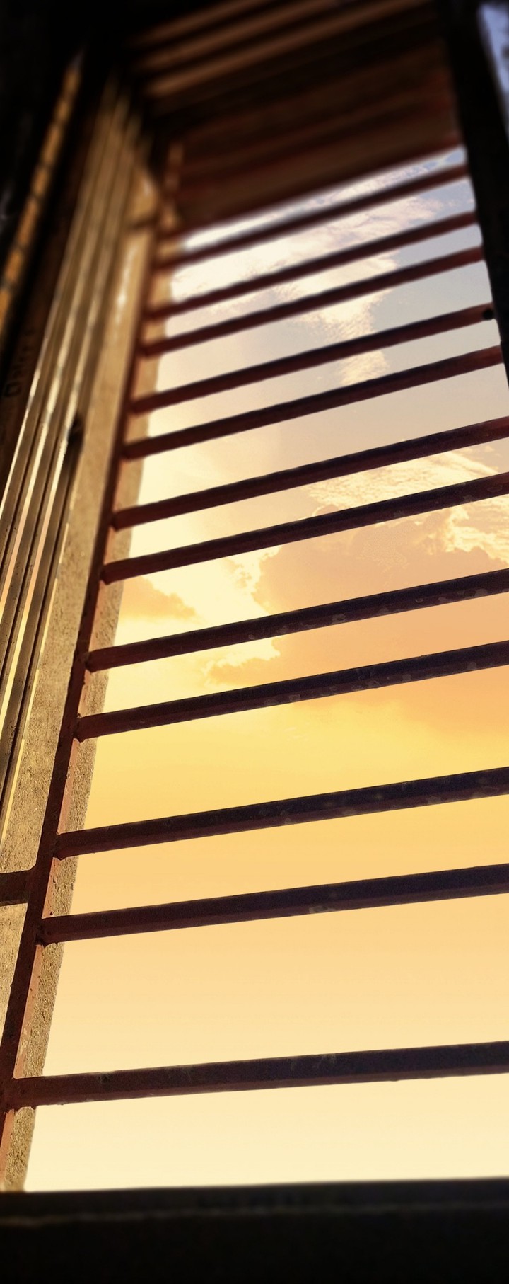 Window Sky