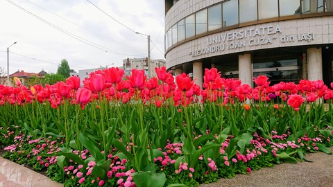 Iași