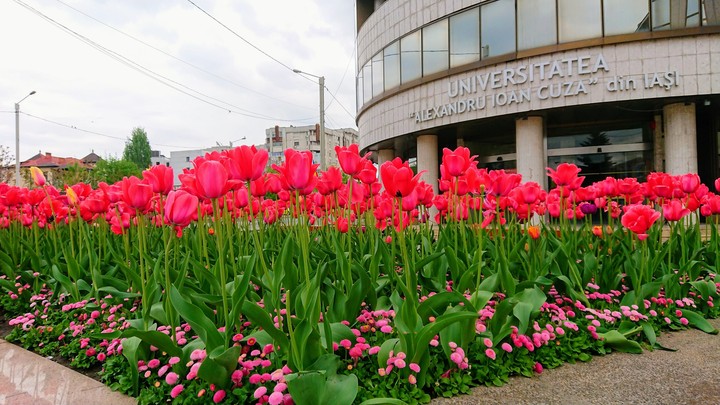 Iași