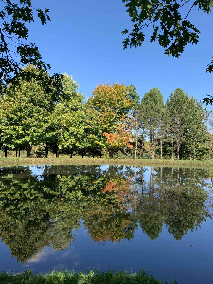 Fall reflections