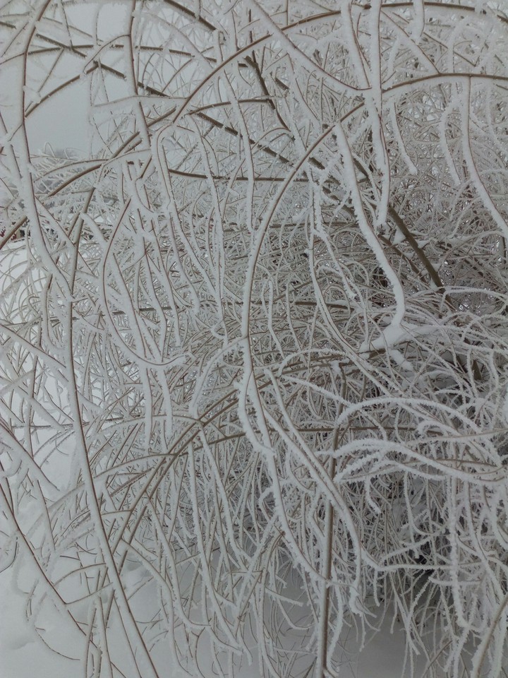 winter
