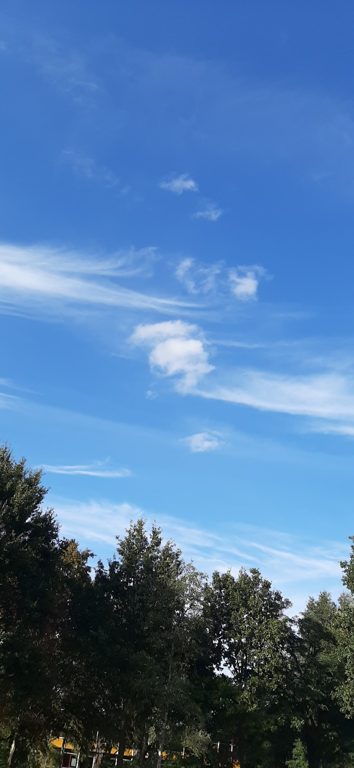 isee a face kinda cloud
