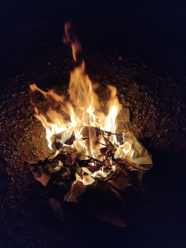 bonfire