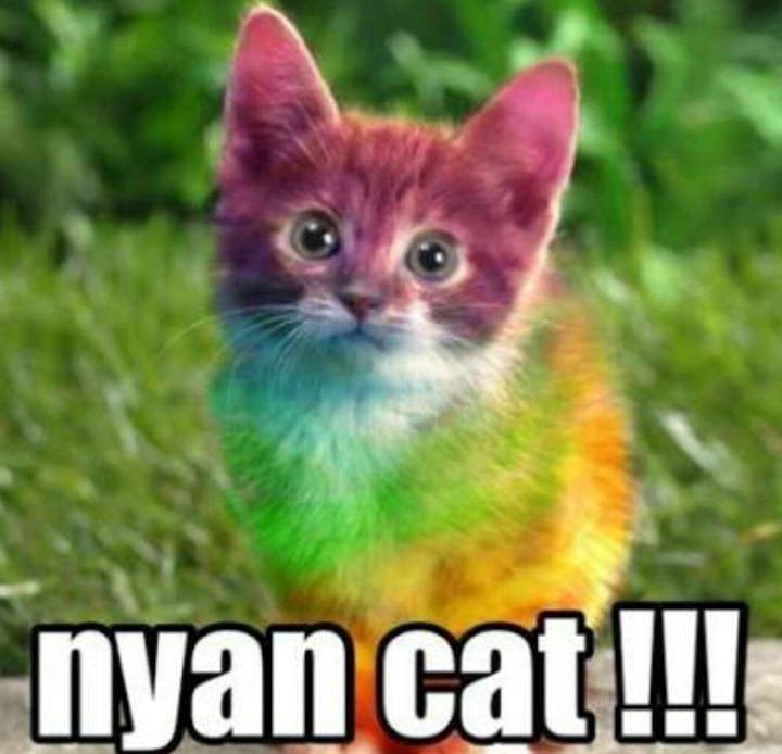 nyan cat!