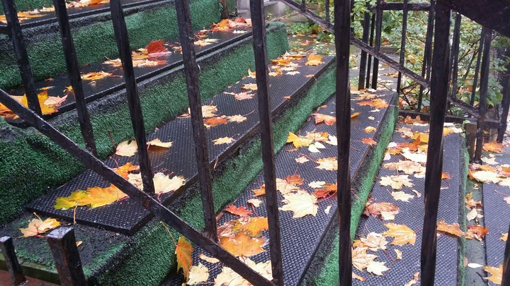 Fall Leaves on The House Steps