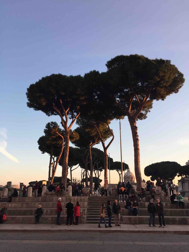Roma