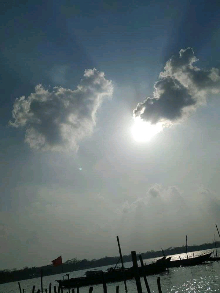 Sunshines?