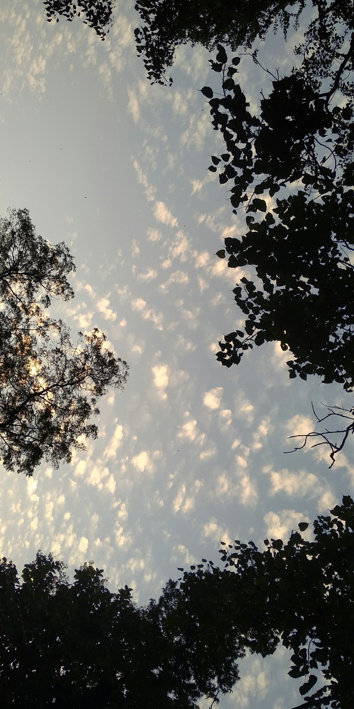 The Sky