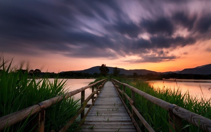 bridge