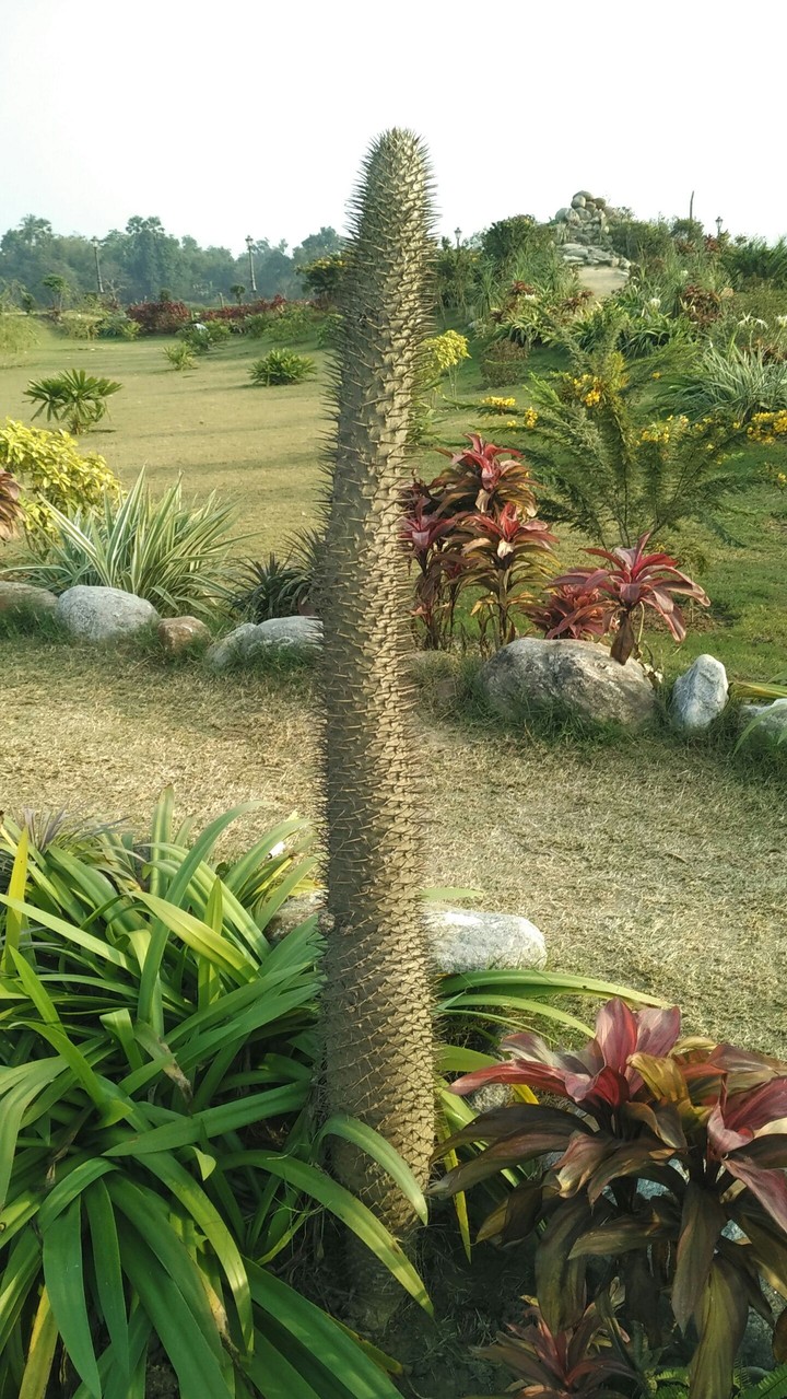 nature is awsome