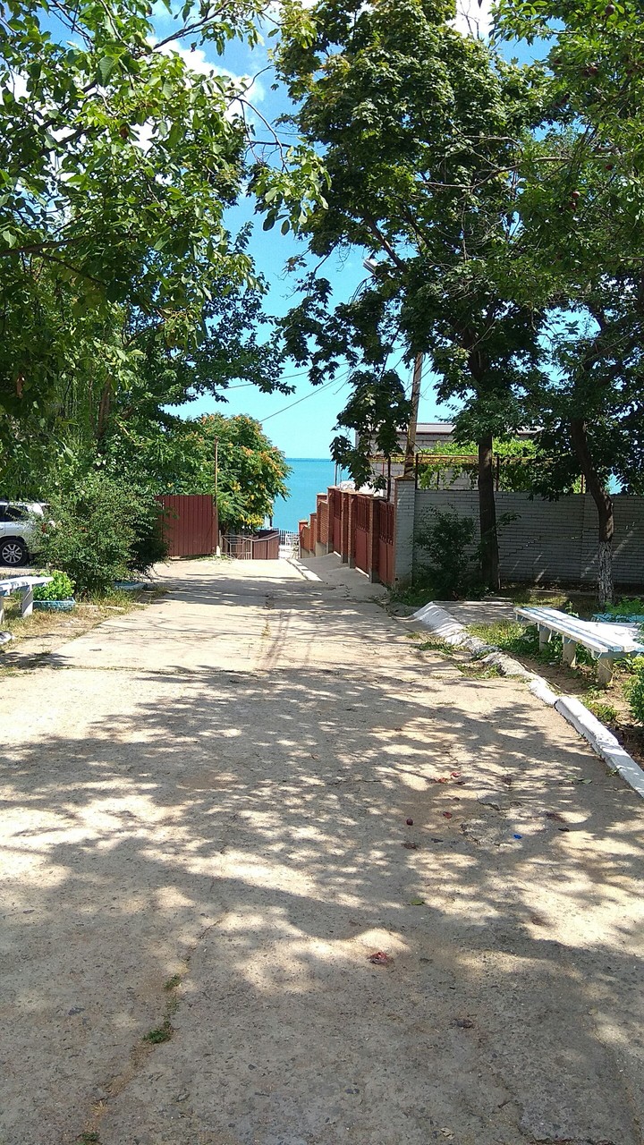 road to sea