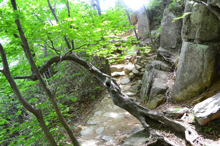 산이미지