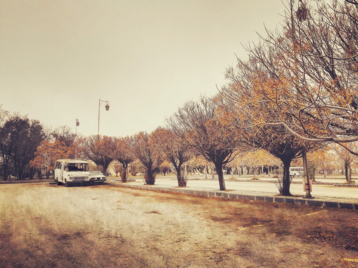 The Autumn