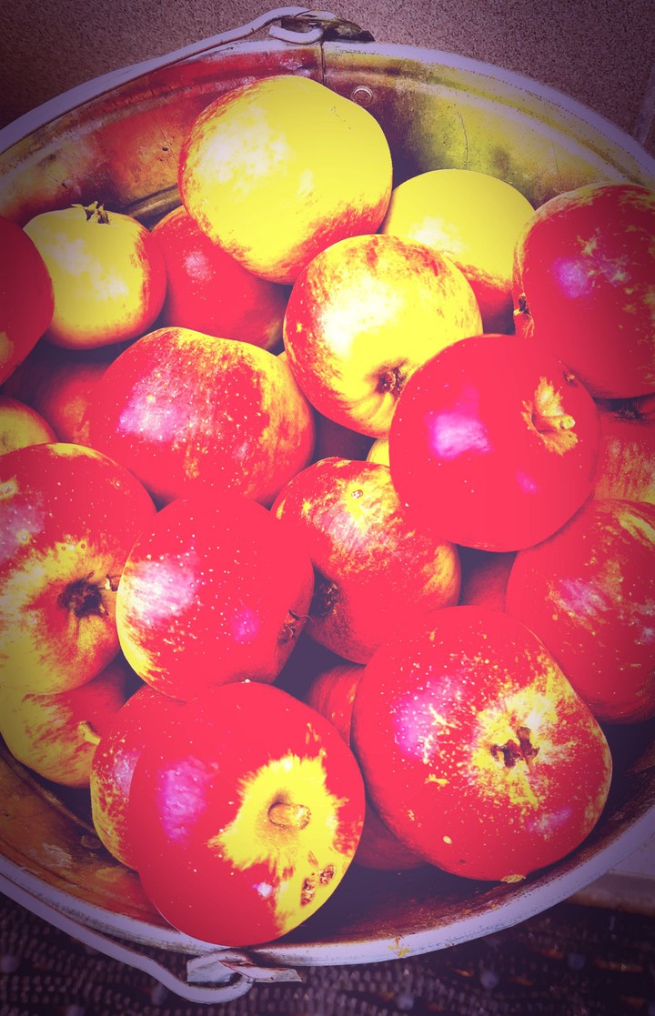 Äpfel