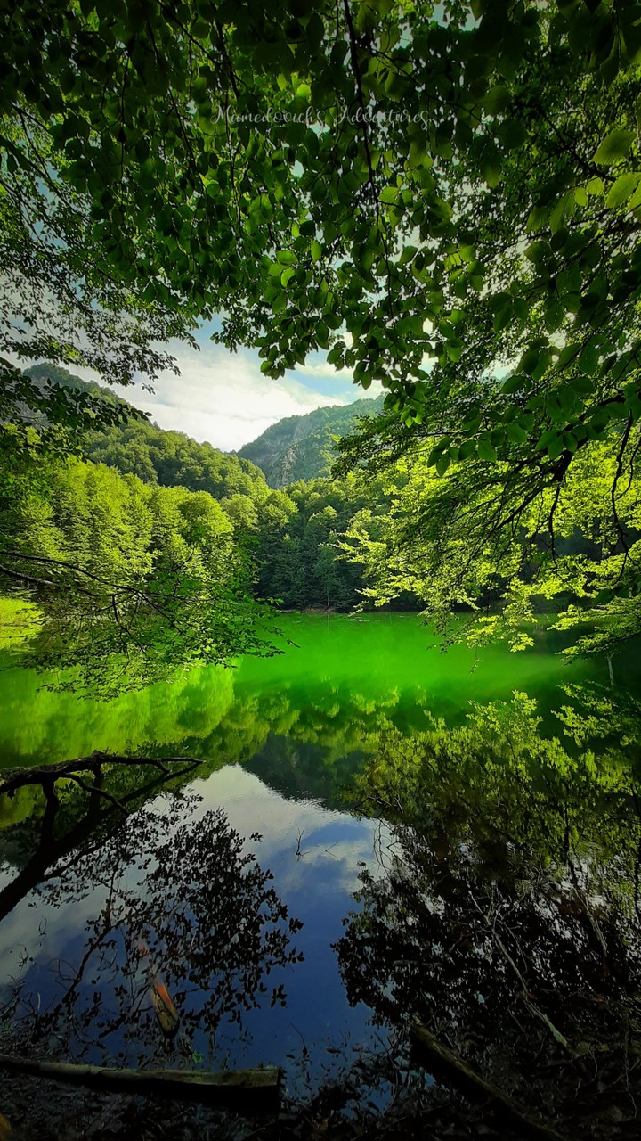 nature