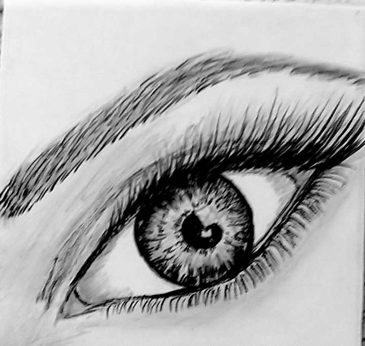 eye