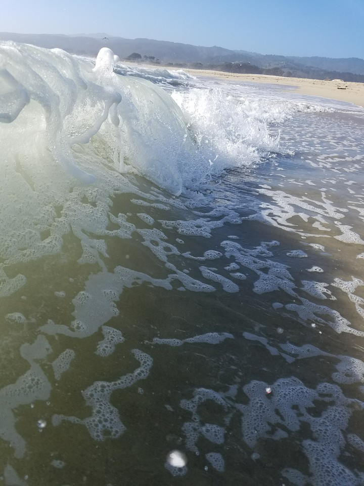 Ocean Waves
