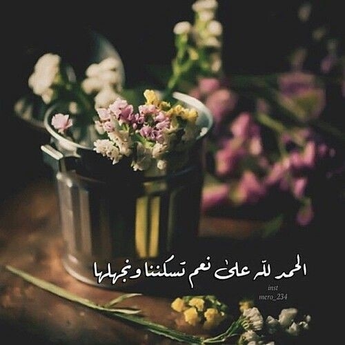 الحمدلله