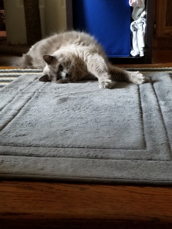 Don't go to work, Mom!
