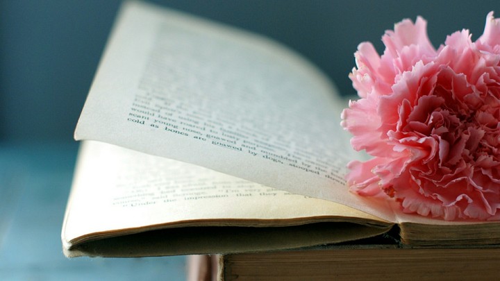 книга