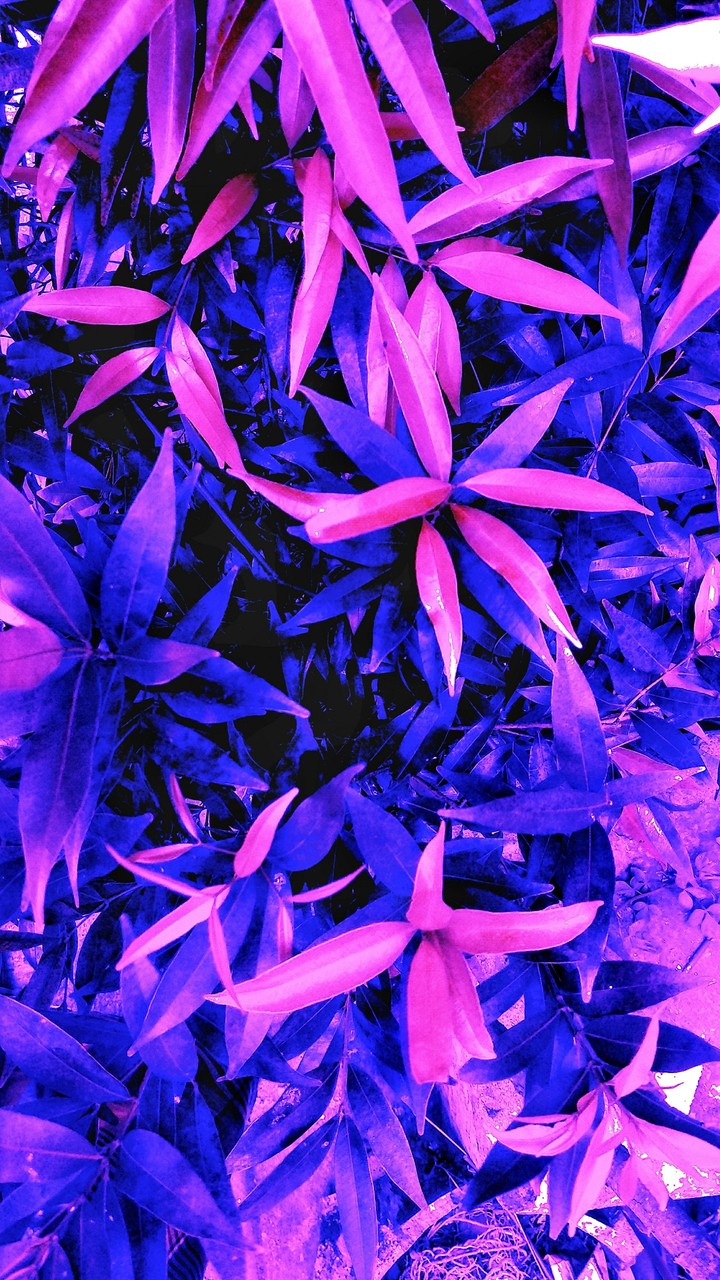 Retro x Nature