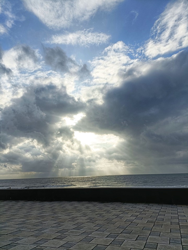 Seaface