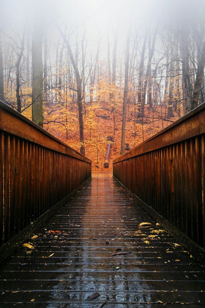 season