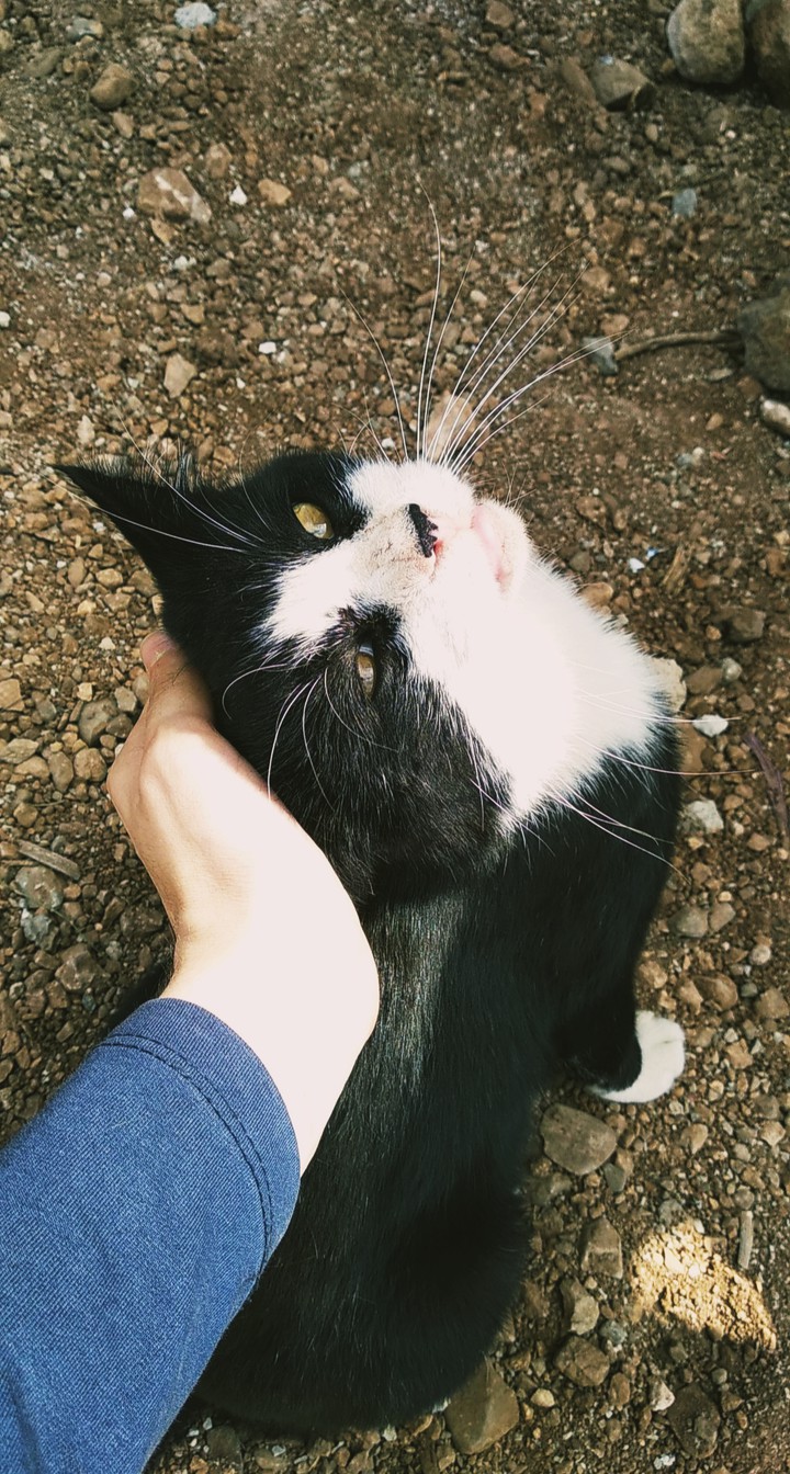 mmmrr