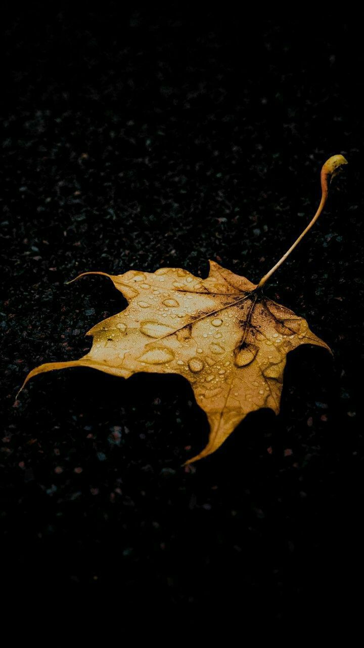 When no rain makes you green anymore